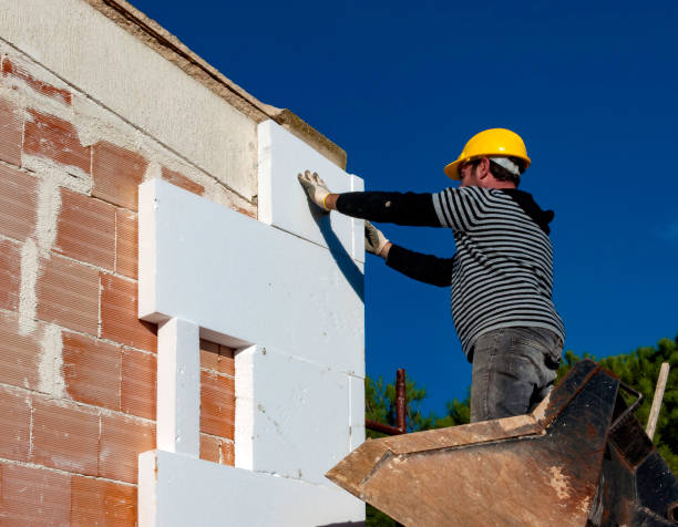 Best Cellulose Insulation in Blythewood, SC