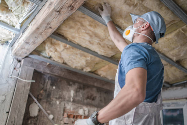Best Insulation for Specific Applications in Blythewood, SC
