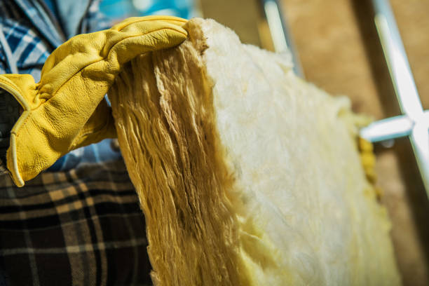 Professional Insulation Contractor in Blythewood, SC