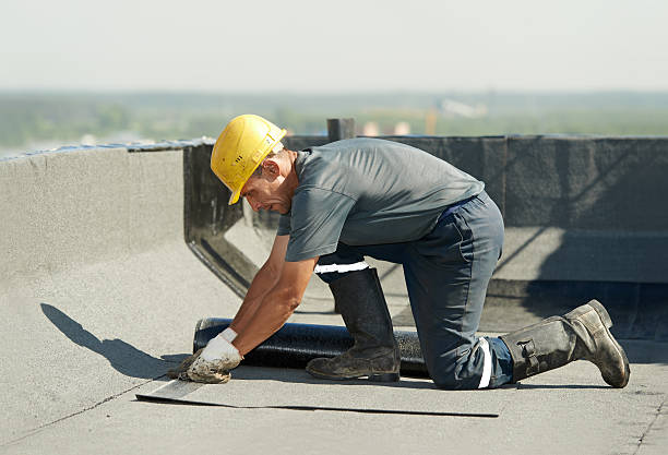 Best Specialized Insulation Services in Blythewood, SC