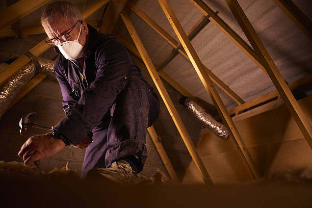 Best Eco-Friendly Insulation in Blythewood, SC