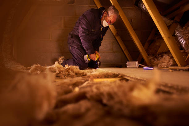 Types of Insulation We Offer in Blythewood, SC